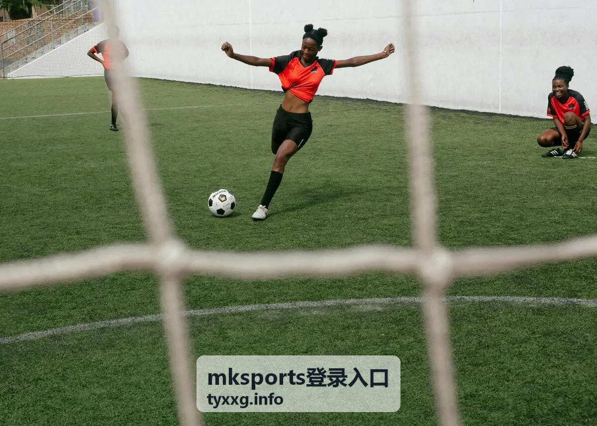 mksports登录入口文章配图