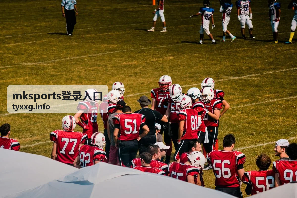 mksports登录入口验证码与密码校验常见问题