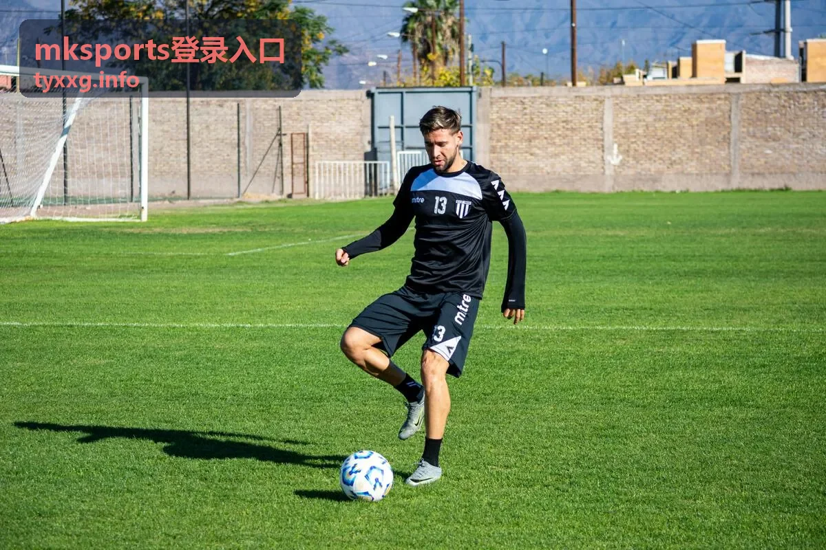 mksports登录入口问题提交与人工回复说明