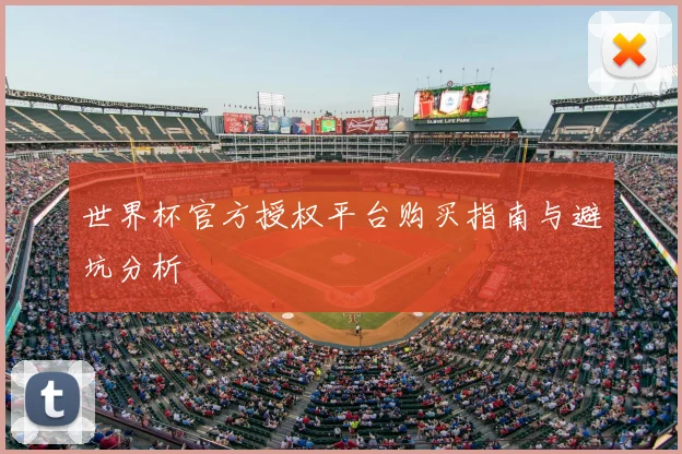 世界杯官方授权平台购买指南与避坑分析