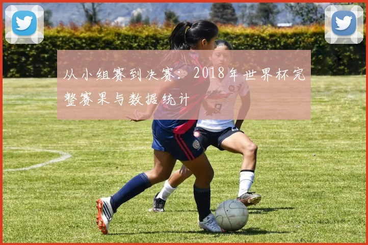 从小组赛到决赛：2018年世界杯完整赛果与数据统计