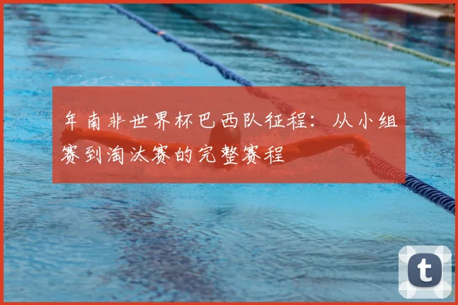 年南非世界杯巴西队征程:从小组赛到淘汰赛的完整赛程