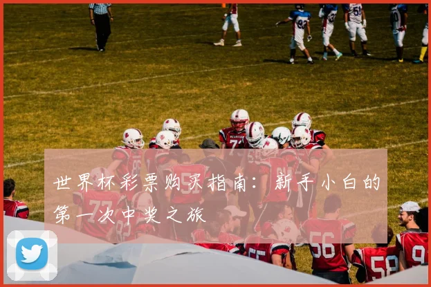 世界杯彩票购买指南:新手小白的第一次中奖之旅