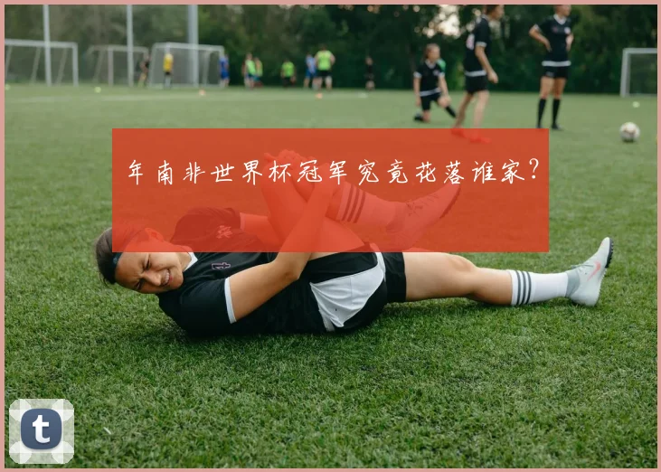 年南非世界杯冠军究竟花落谁家?