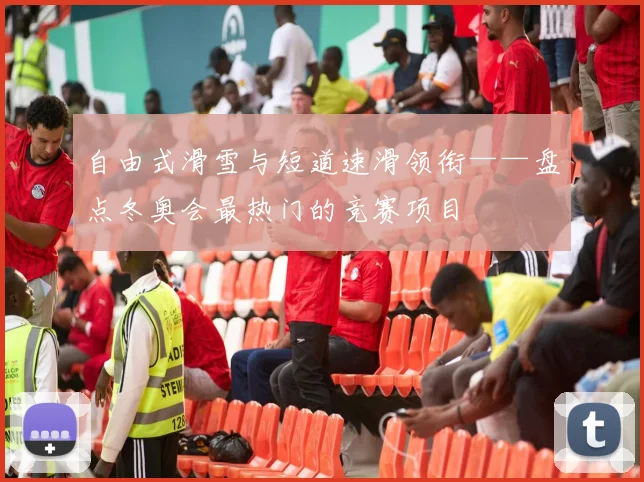 自由式滑雪与短道速滑领衔——盘点冬奥会最热门的竞赛项目
