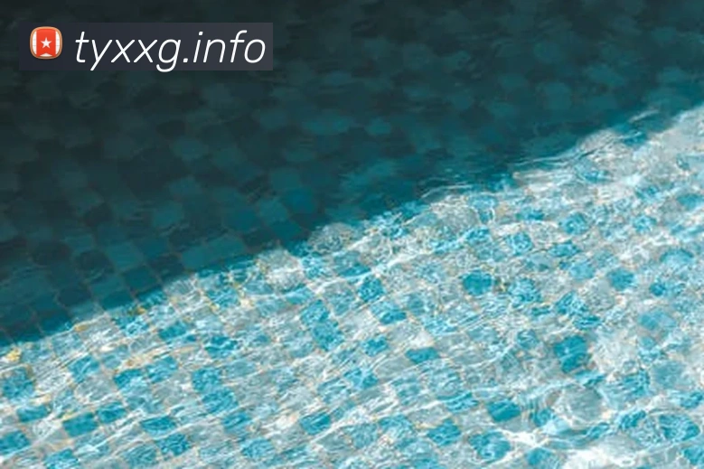 App Interface Preview