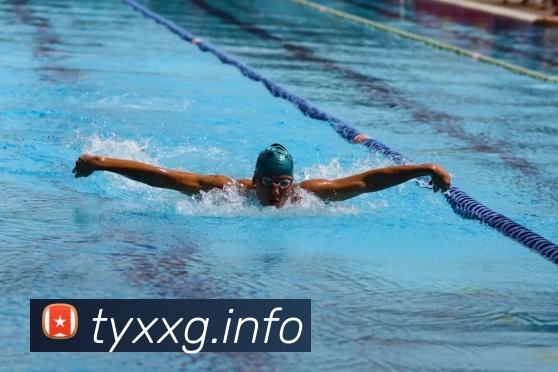 九游j9官方APP 封面图